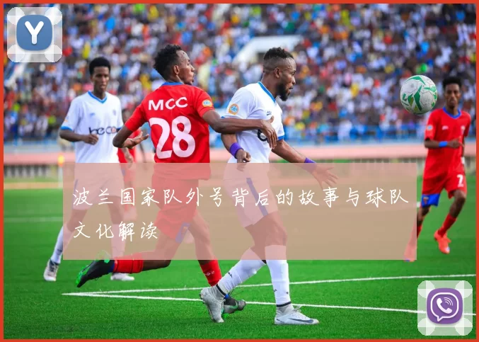 波兰国家队外号背后的故事与球队文化解读